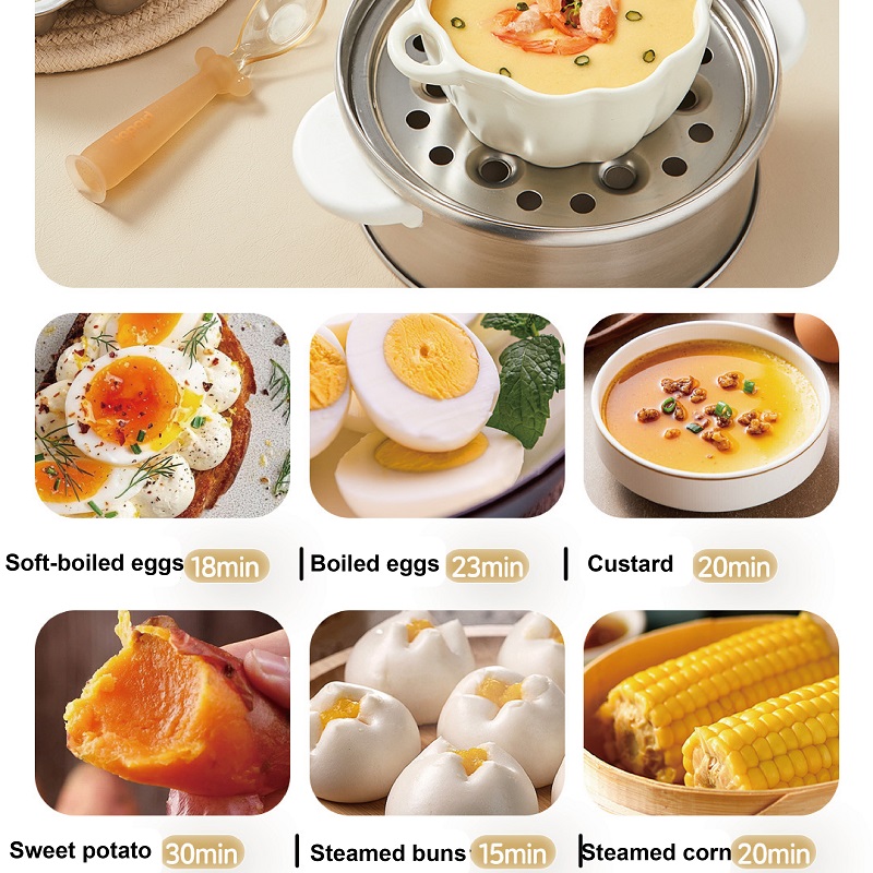 400W Multifunctionele Eierkoke - Baby Food Steamer recensie en prijs