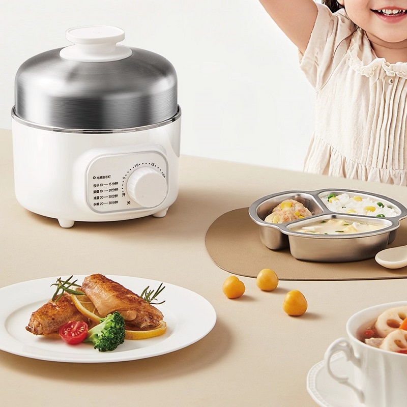 400W Multifunctionele Eierkoke - Baby Food Steamer recensie en prijs