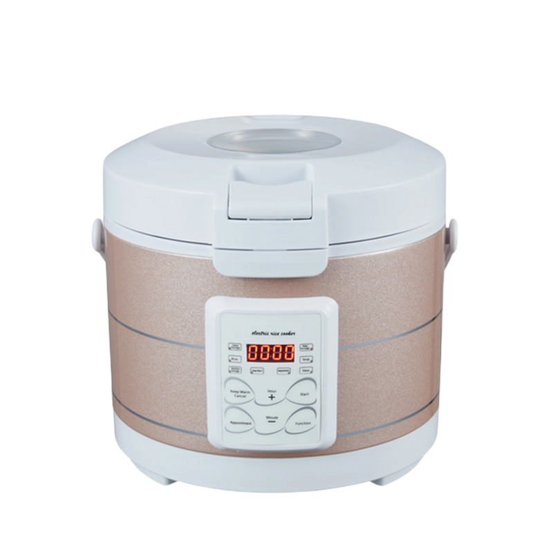 12-24V 220V Rijstkoker Soep St - Baby Food Steamer recensie en prijs