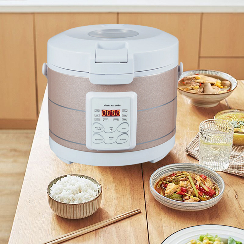 12-24V 220V Rijstkoker Soep St - Baby Food Steamer recensie en prijs